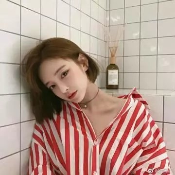 诺瓦利斯的蓝玫瑰