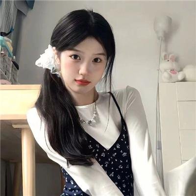 大象心
